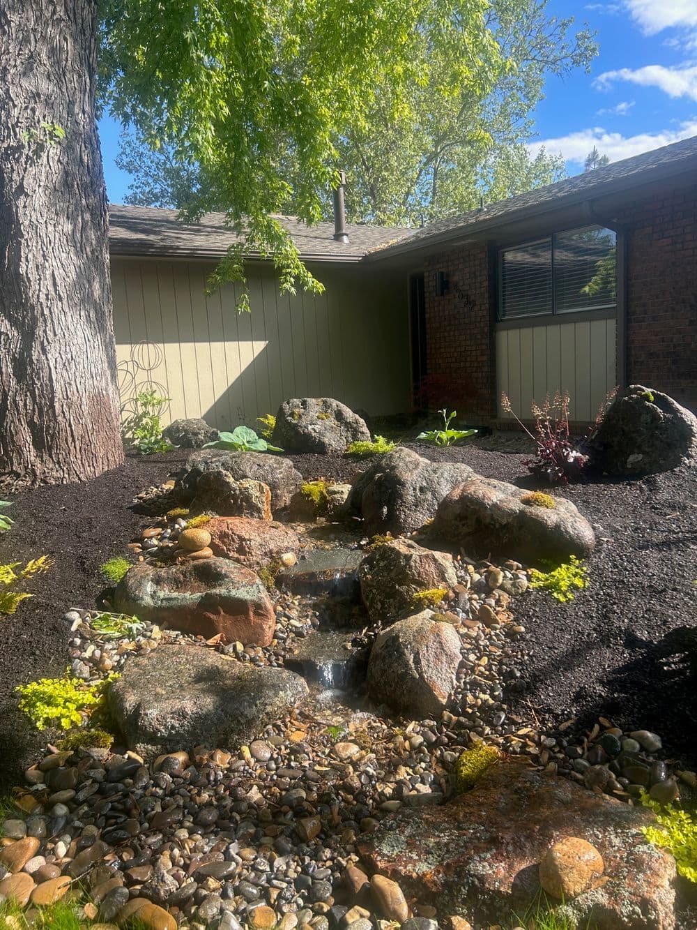 Water Feature & Plantings