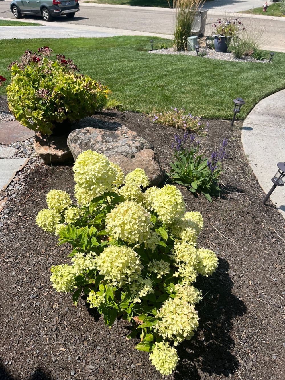 Gallery photos for Landscape Design/Install: Image #2
