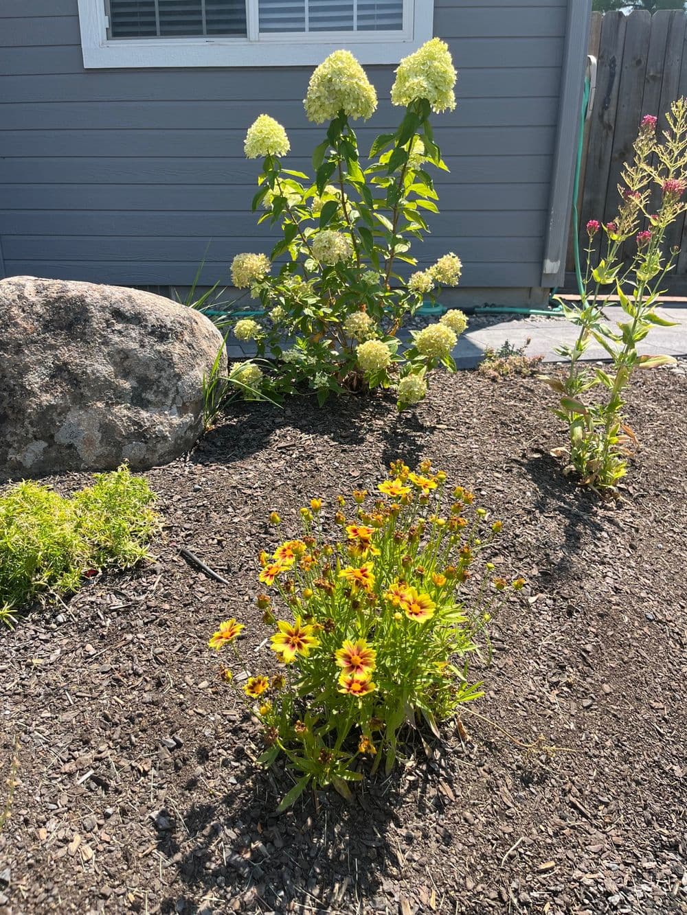 Gallery photos for Landscape Design/Install: Image #3