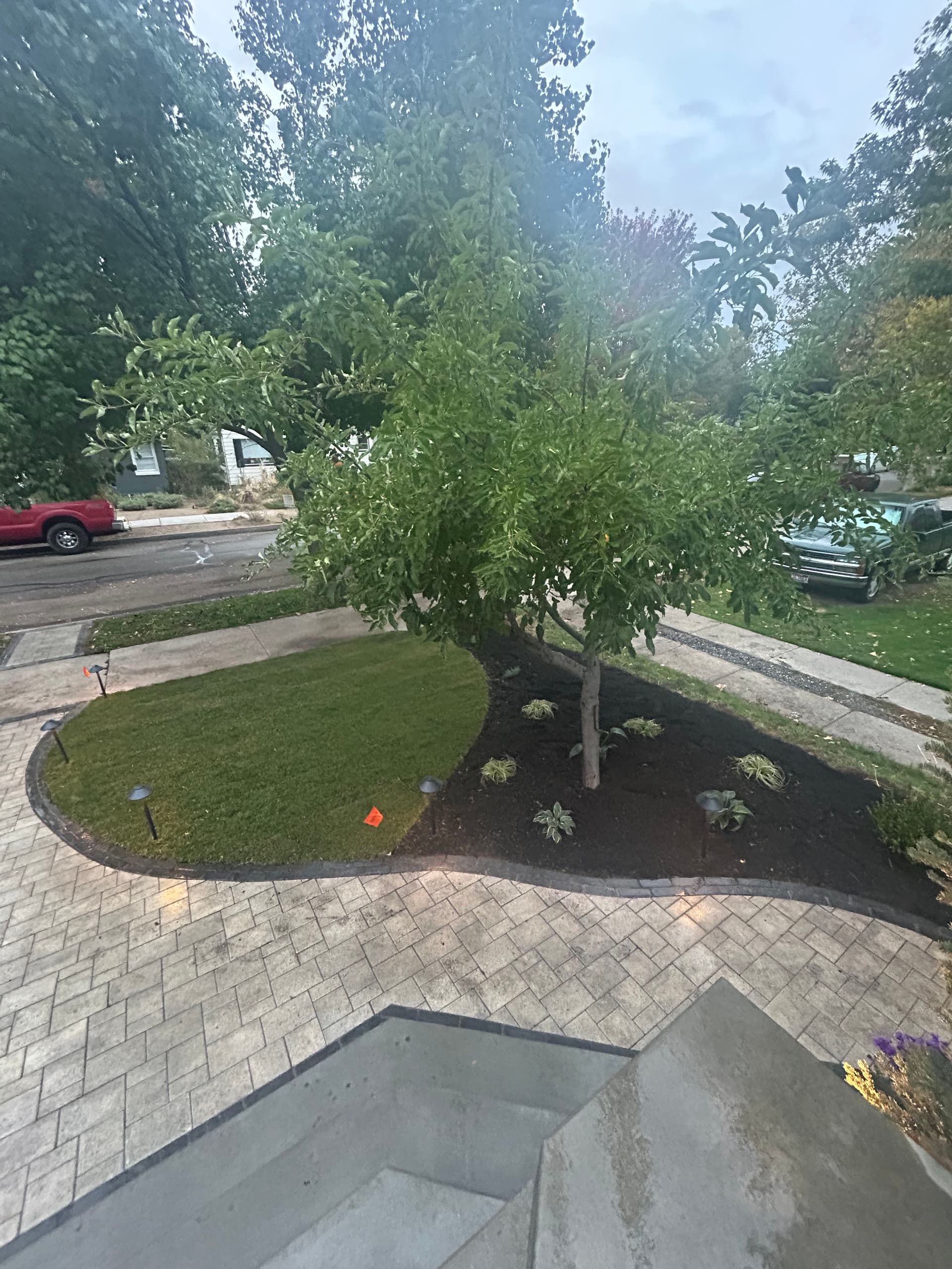 Gallery photos for Front Yard Landscaping and Lighting Completed: Image #1
